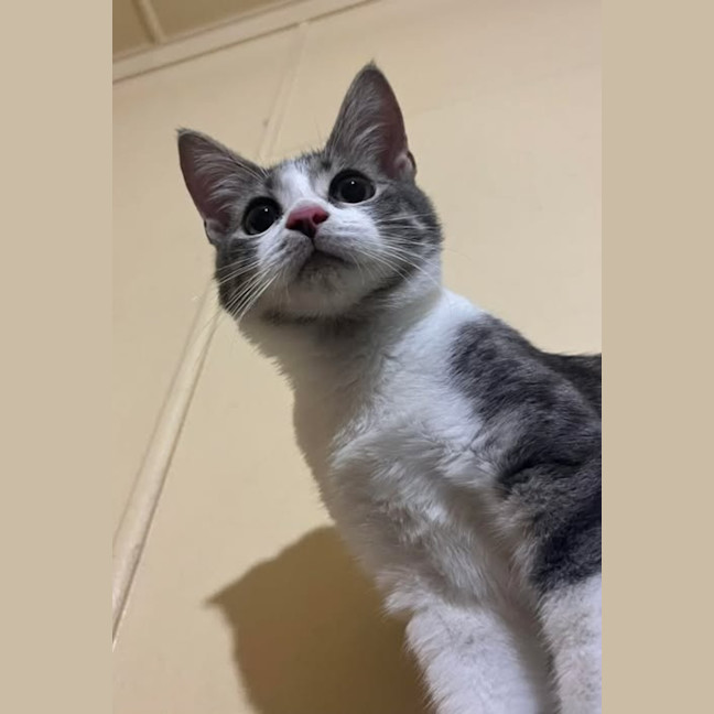 Photo of Xena