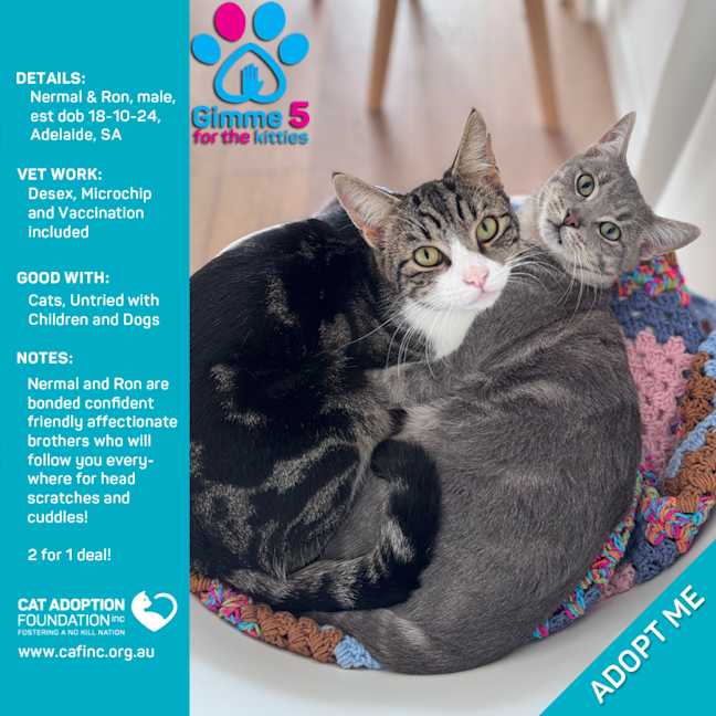 Photo of Nermal And Ron