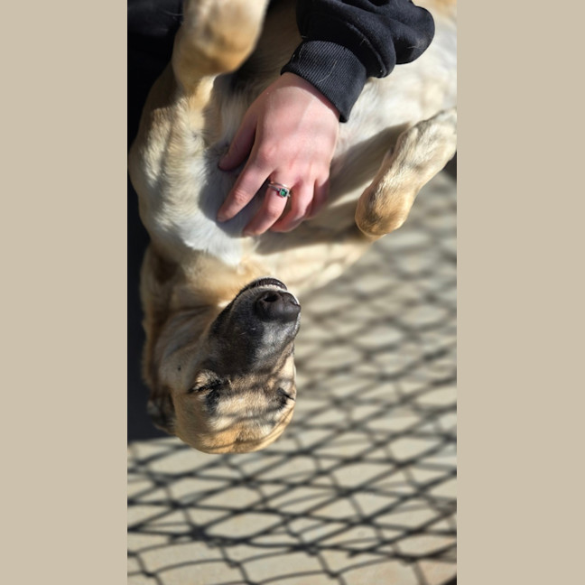 Photo of Zena