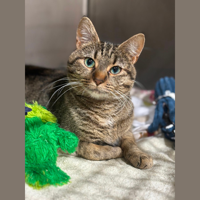 Photo of Daisy