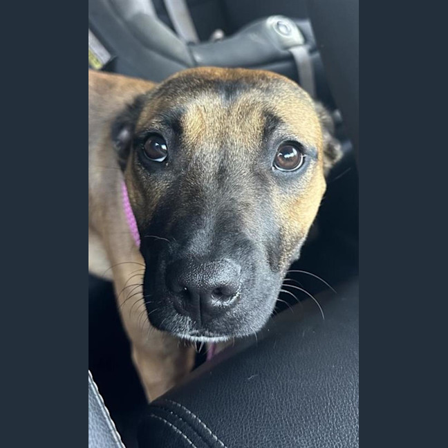 Photo of Miss. Honey