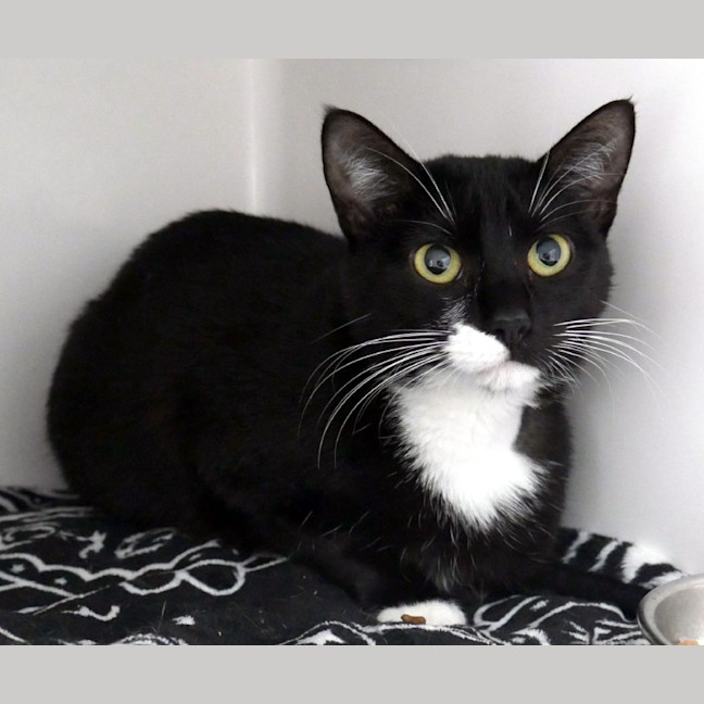 Photo of Josie Sta015541