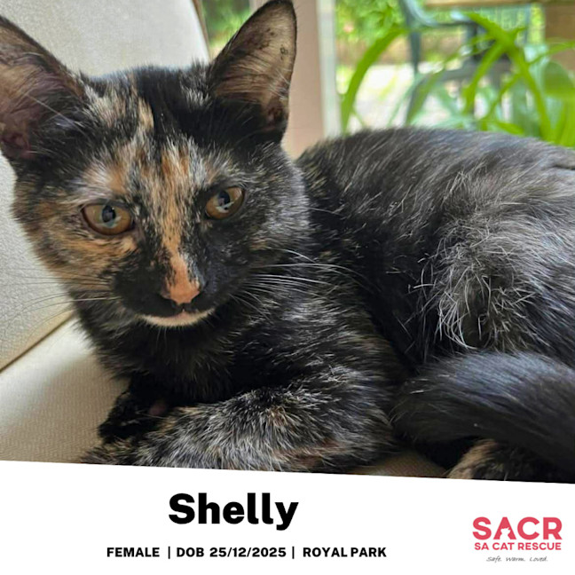 Photo of Shelly