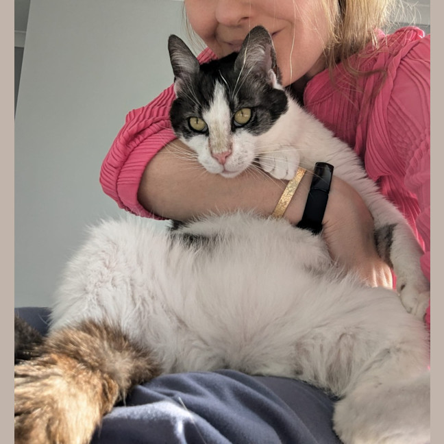 Photo of Gus **A Gentle Giant**