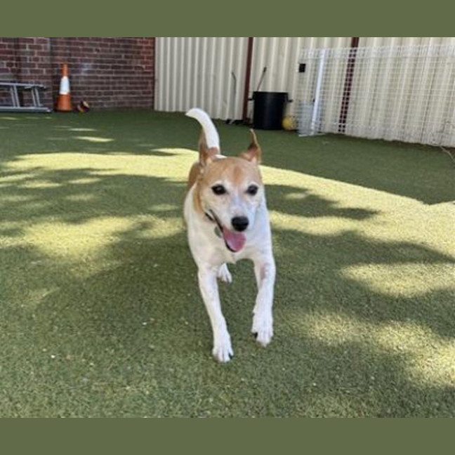 Photo of Billy