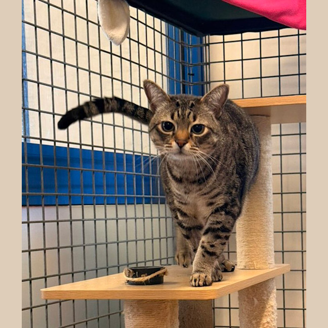 Photo of Charlie