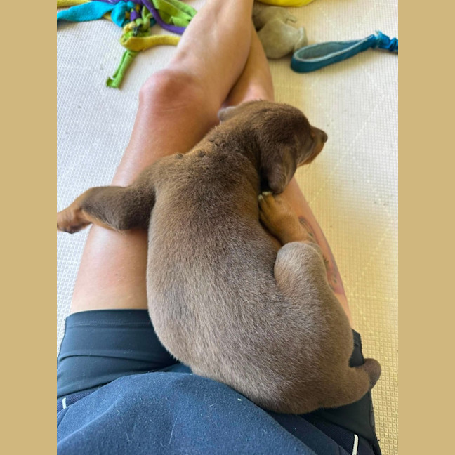 Photo of Buttercup