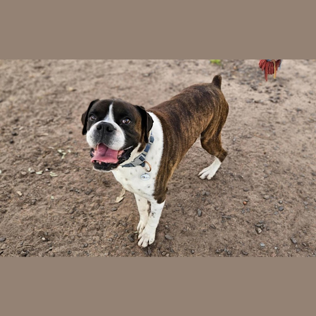 Photo of Ralphy