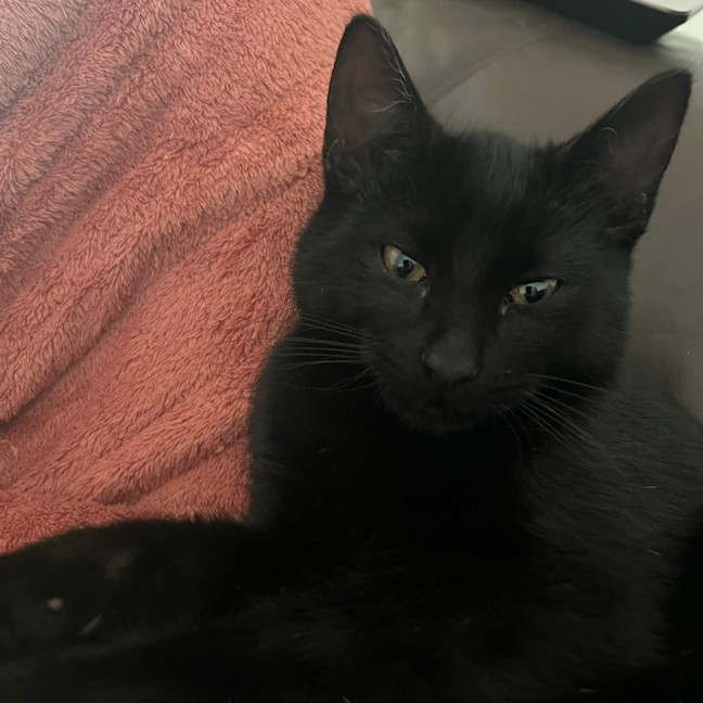 Photo of Sassy