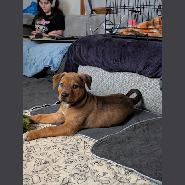 Photo of Ragnar