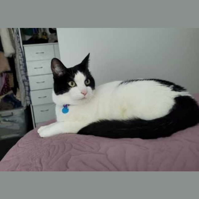 Photo of Missy