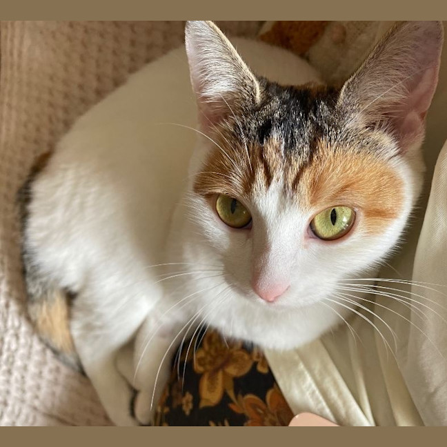 Photo of Daisy