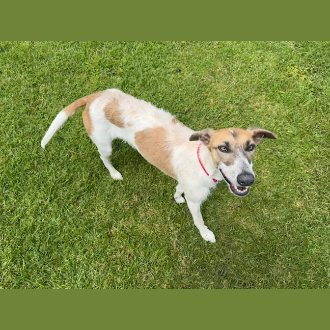 Photo of Chance
