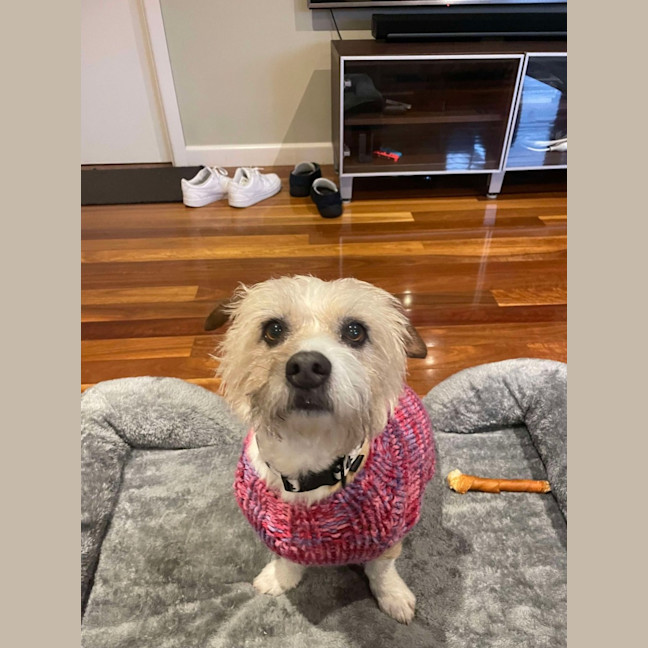 Photo of Lachie