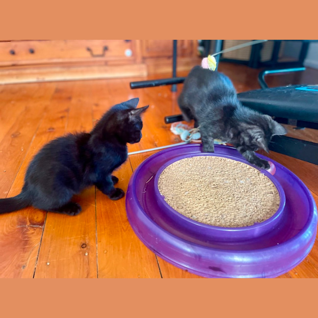 Photo of Rumor & Cider