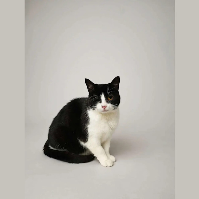 Photo of Lucky