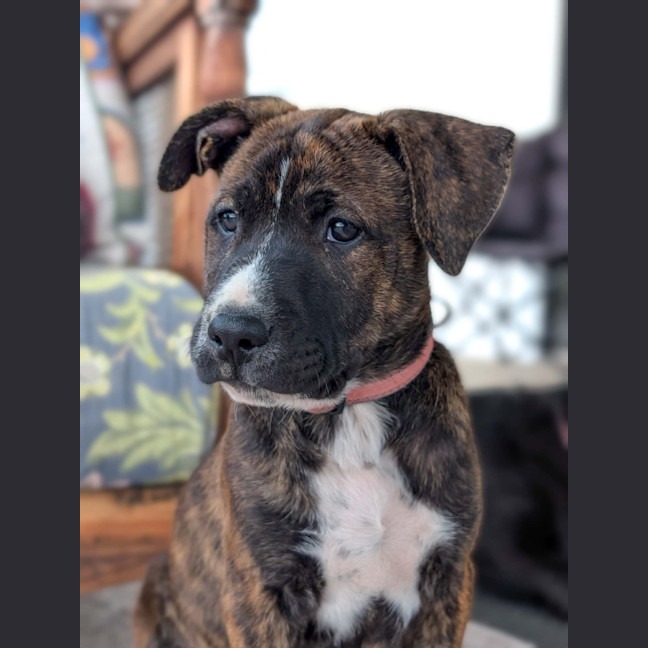 Photo of Jude 