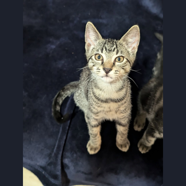 Photo of Seren