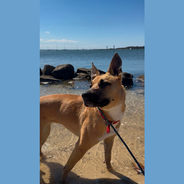 Photo of Happy 