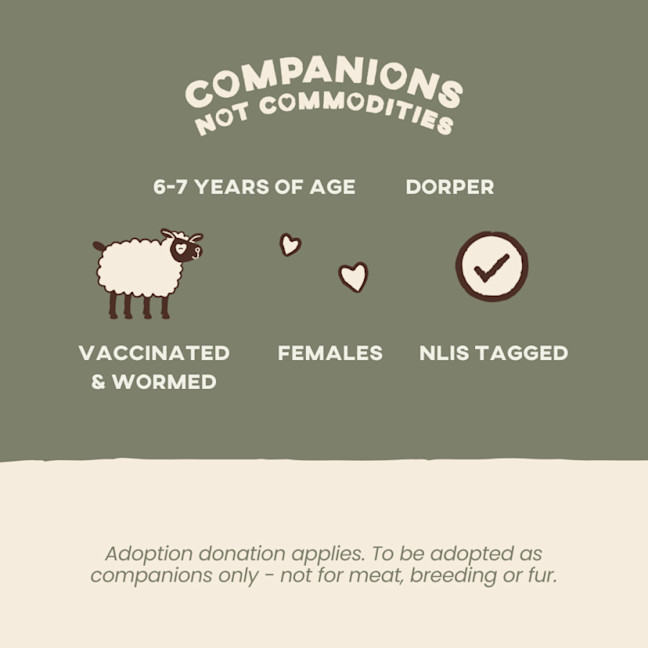 Photo of Thelma & Louise