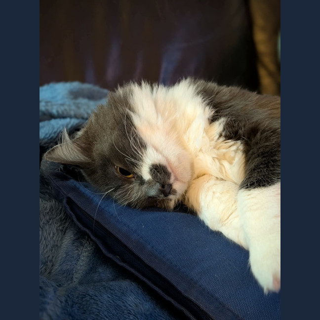 Photo of Cloudy And Midnight