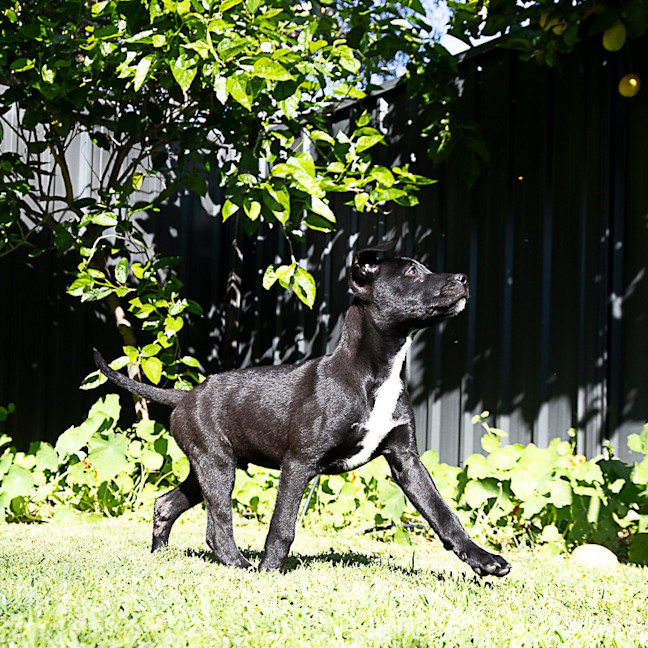 Photo of Lumen