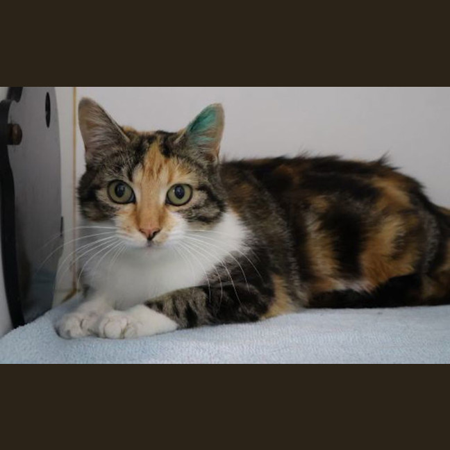 Photo of Josephine