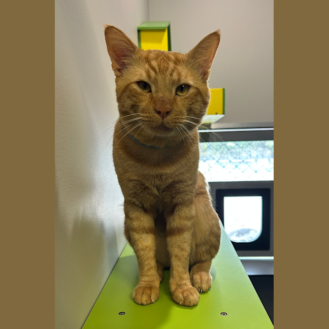 Photo of Arlo