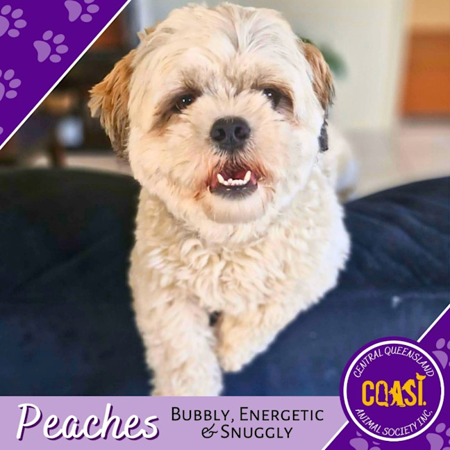 Photo of Peaches