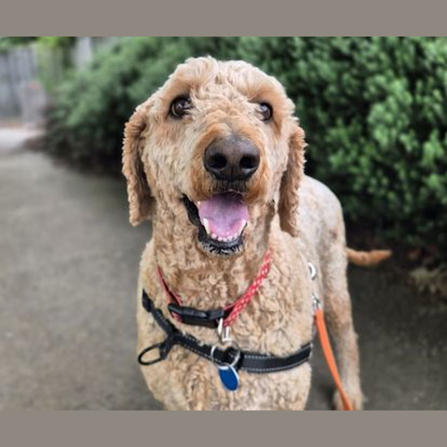 Photo of Macey