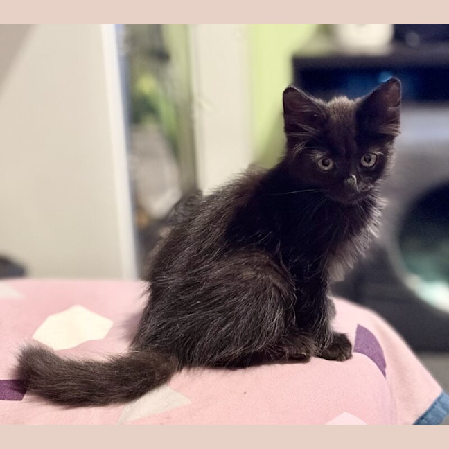 Photo of Sammy