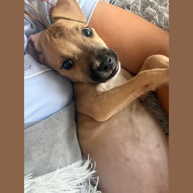 Photo of Tiny