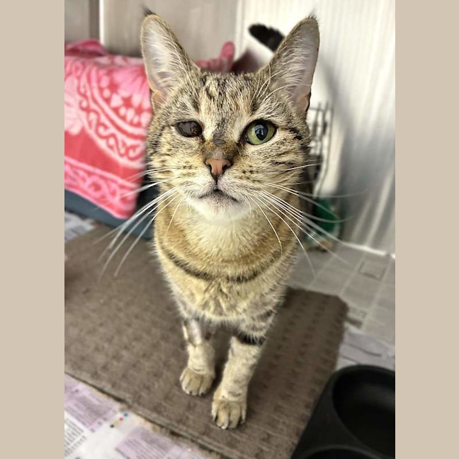 Photo of Leela