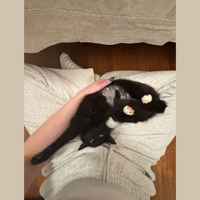 Photo of Soxie
