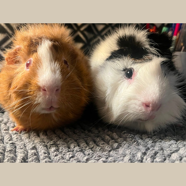 Photo of Cruise & Miles