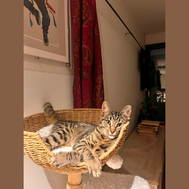 Photo of Rosie