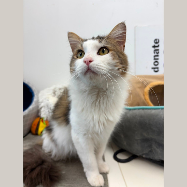 Photo of Oliver 