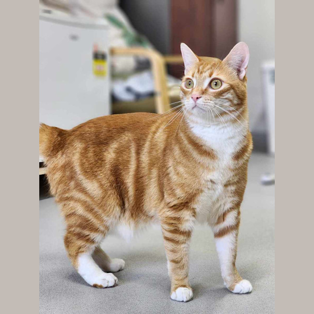 Photo of 🌤 Kenny 5576 🌤