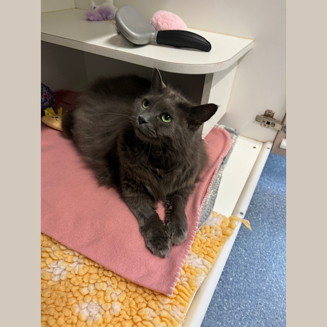 Photo of Esky