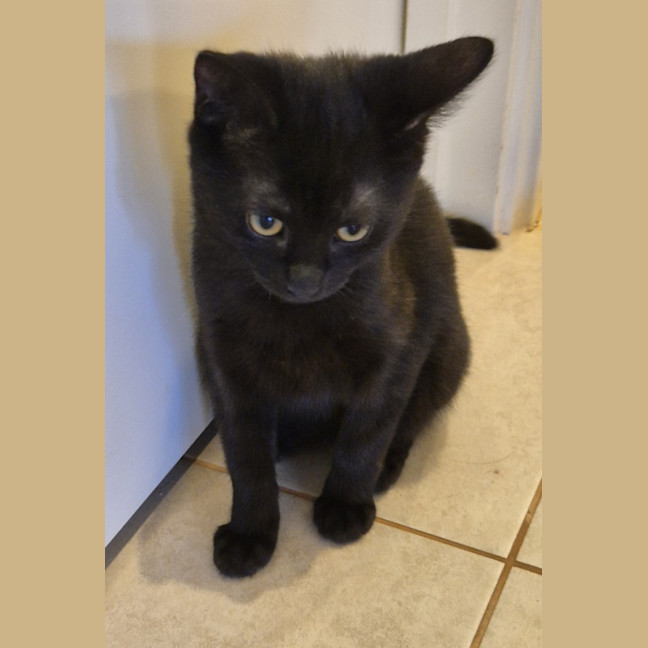 Photo of Puzzle