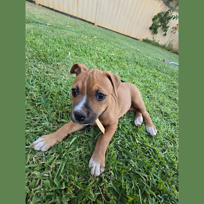 Photo of Maisy