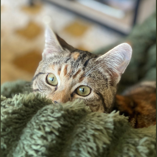 Photo of Thelma