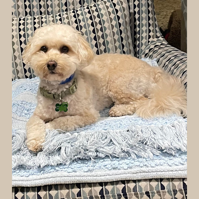 Photo of Molly