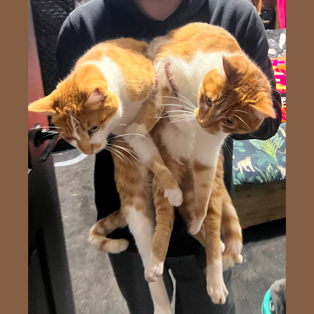 Photo of Bruce