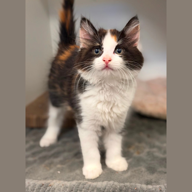Photo of Meg