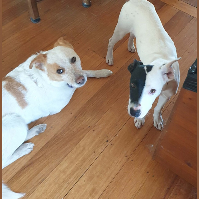 Photo of Dorothy Gale