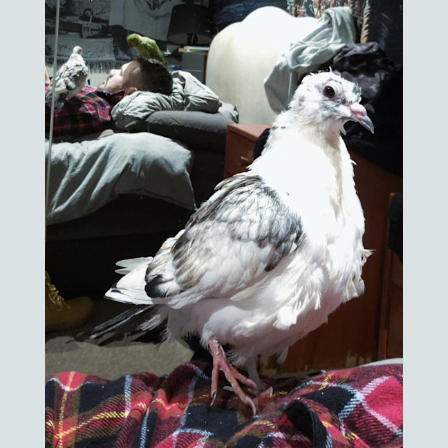 Photo of Summer Salad