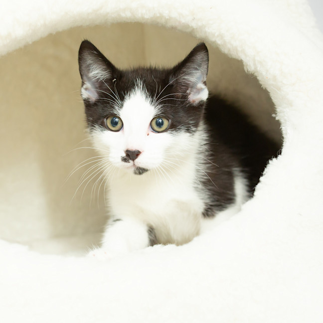 Photo of Dolly Parton 