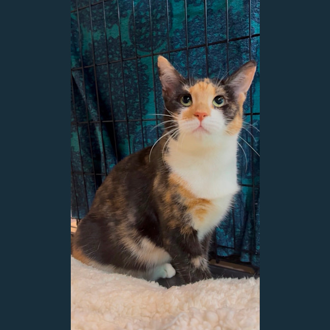 Photo of Jesie