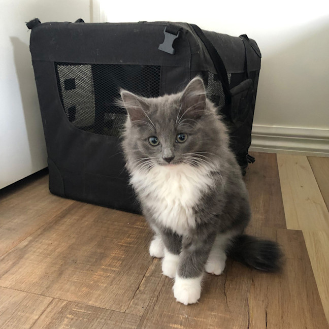 Photo of Dior